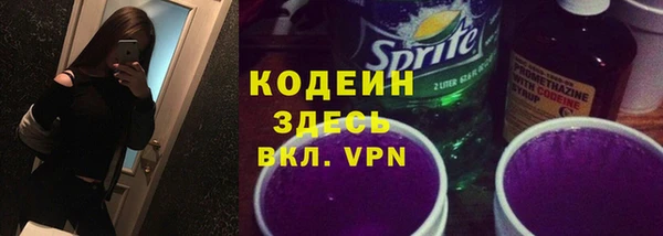 индика Заволжье