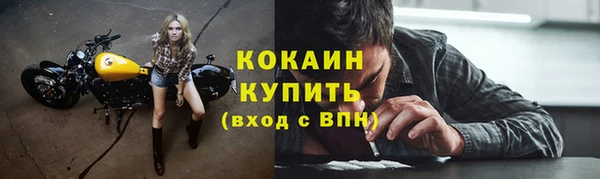 СК Ельня