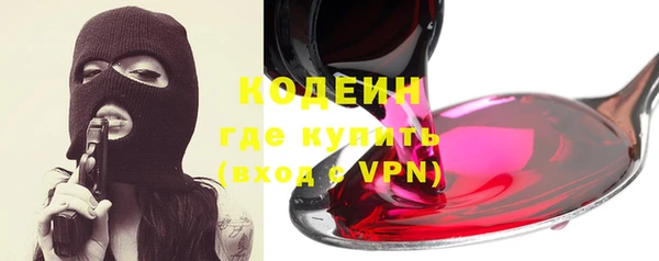 индика Заволжье