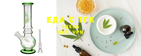 индика Заволжье