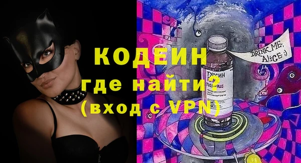 индика Заволжье