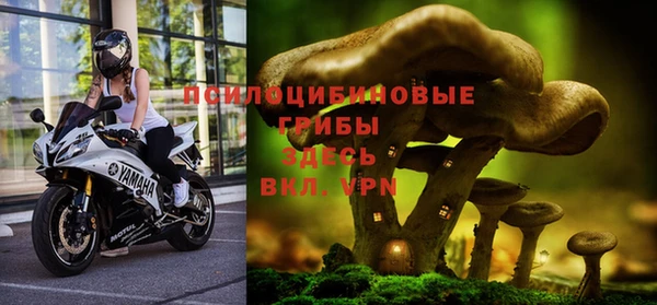 скорость Дмитровск