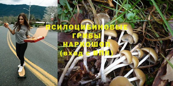 индика Заволжье