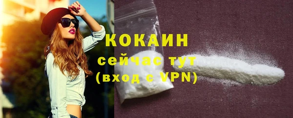 индика Заволжье